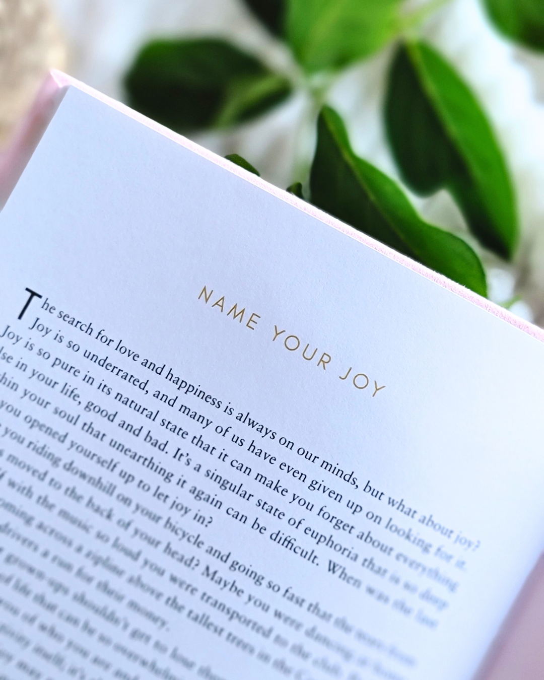 The Wellthy Mama Guided Self-Love Journal